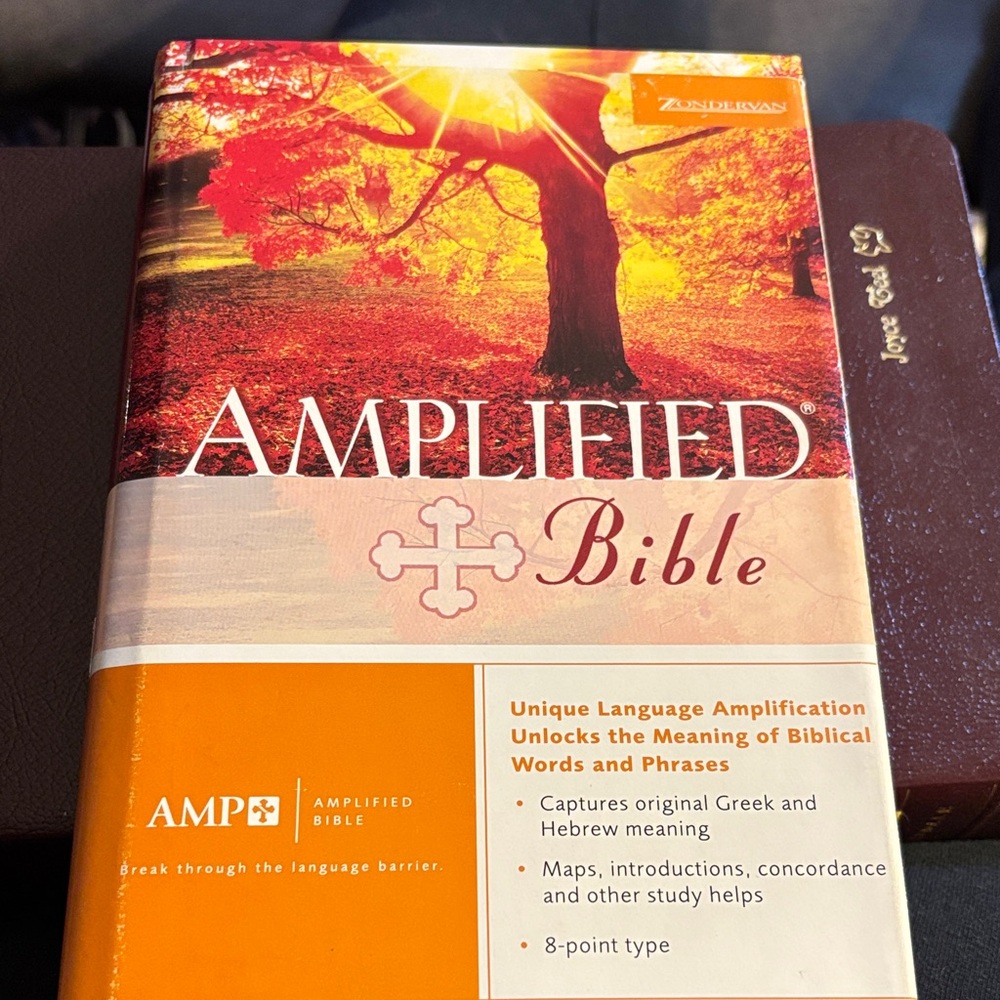 Amplified Bible New